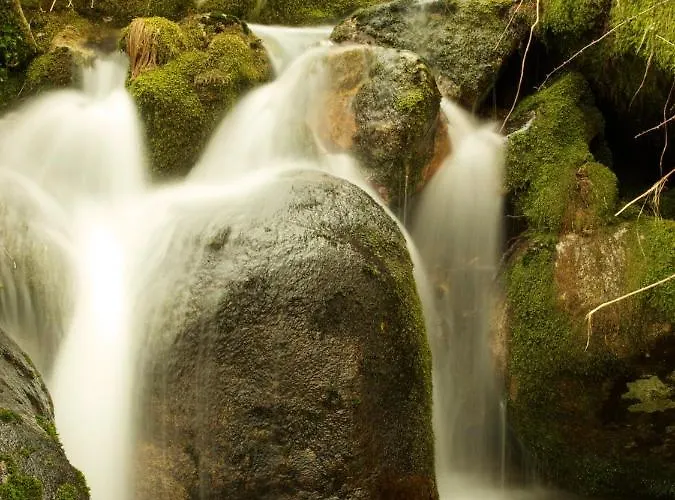 Charming In With Shared Pool Pedraça