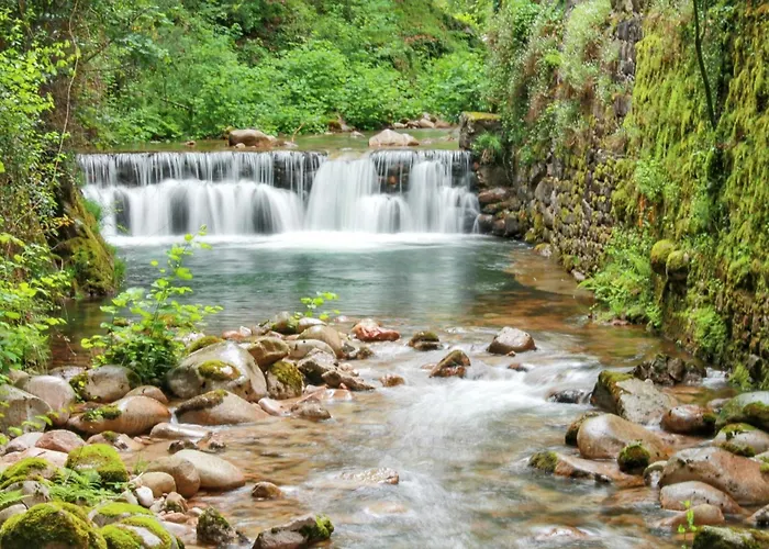Charming In With Shared Pool * Pedraça